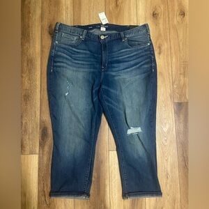Lane Bryant NWT low rise super stretch medium wash distressed capri denim jeans